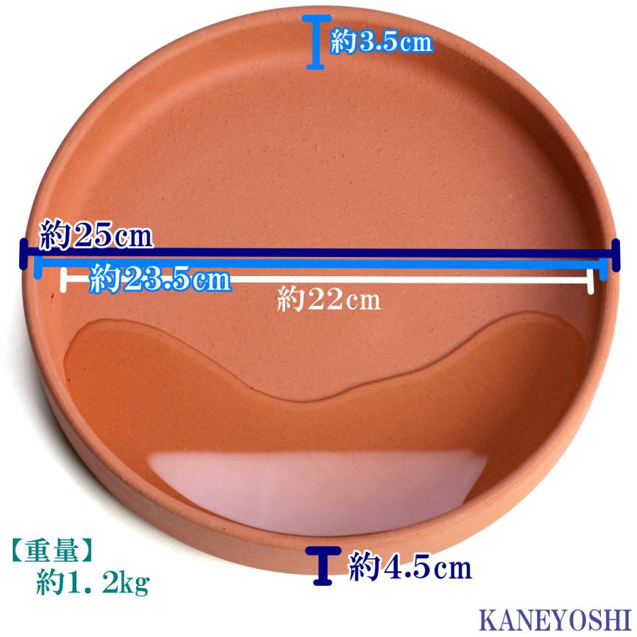 受け皿　植木鉢用　ソーサー　おしゃれ　陶器　サイズ　２５ｃｍ　安くて丈夫　ＭＡ受皿　８号　赤焼 |  | 03