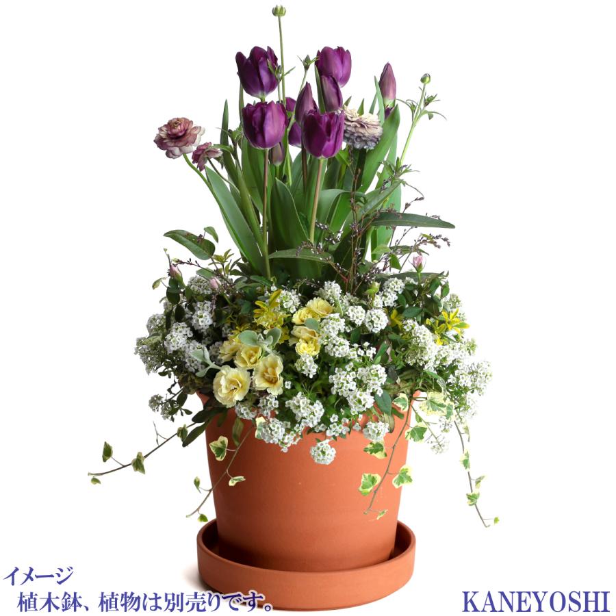 受け皿　植木鉢用　ソーサー　おしゃれ　陶器　サイズ　２５ｃｍ　安くて丈夫　ＭＡ受皿　８号　赤焼 |  | 07