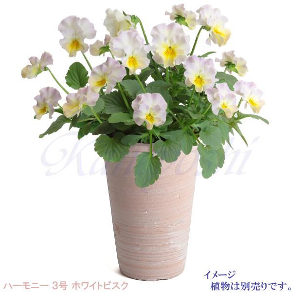 植木鉢 おしゃれ 安い 陶器 サイズ 9.5cm ハーモニー 3号 ホワイトビスク 室内 屋外 レンガ 色 |  | 09