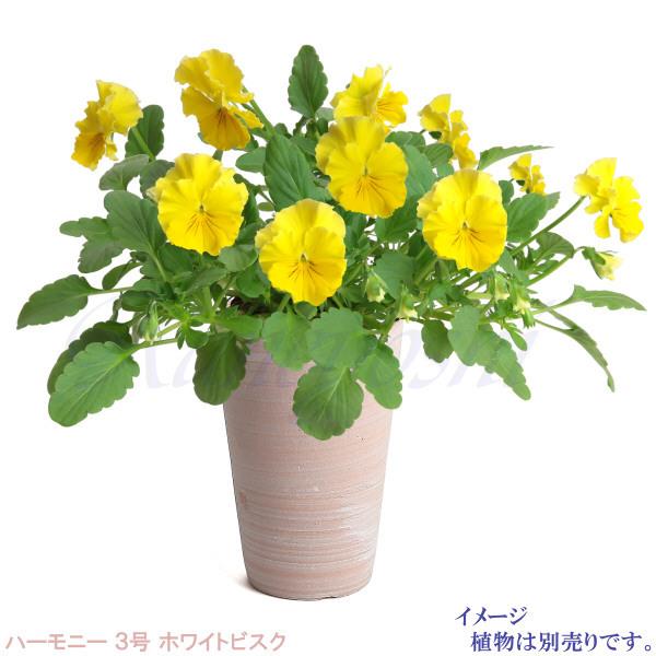 植木鉢 おしゃれ 安い 陶器 サイズ 9.5cm ハーモニー 3号 ホワイトビスク 室内 屋外 レンガ 色 |  | 05