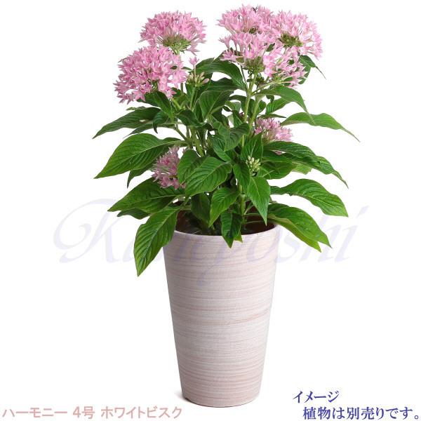 植木鉢 おしゃれ 安い 陶器 サイズ 12.5cm ハーモニー 4号 ホワイトビスク 室内 屋外 レンガ 色 |  | 09