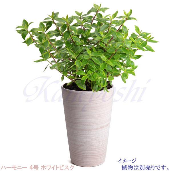 植木鉢 おしゃれ 安い 陶器 サイズ 12.5cm ハーモニー 4号 ホワイトビスク 室内 屋外 レンガ 色 |  | 12