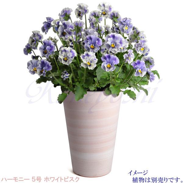 植木鉢 おしゃれ 安い 陶器 サイズ 16cm ハーモニー 5号 ホワイトビスク 室内 屋外 レンガ 色 |  | 09