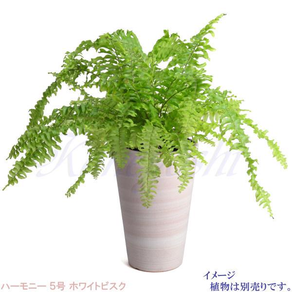 植木鉢 おしゃれ 安い 陶器 サイズ 16cm ハーモニー 5号 ホワイトビスク 室内 屋外 レンガ 色 |  | 10