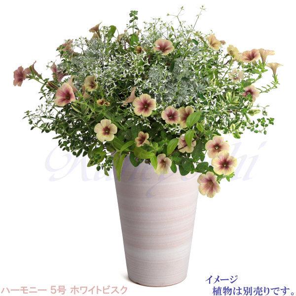 植木鉢 おしゃれ 安い 陶器 サイズ 16cm ハーモニー 5号 ホワイトビスク 室内 屋外 レンガ 色 |  | 11