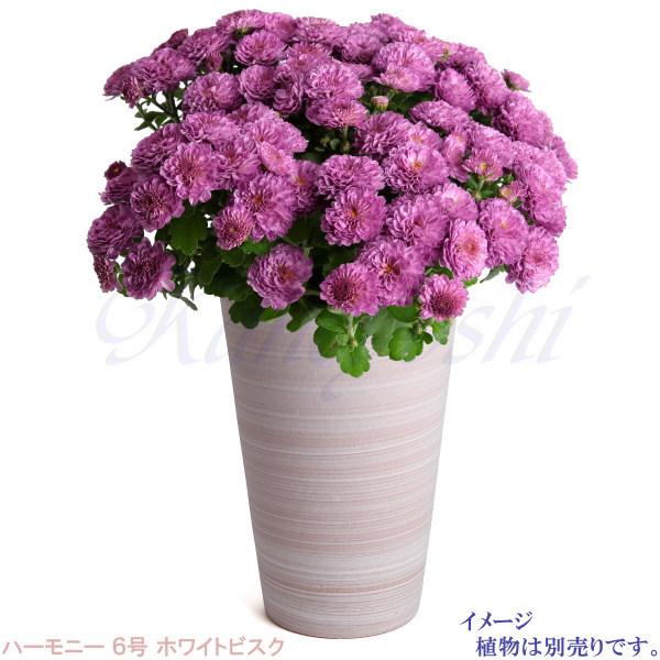 植木鉢 おしゃれ 安い 陶器 サイズ 19cm ハーモニー 6号 ホワイトビスク 室内 屋外 レンガ 色 |  | 10