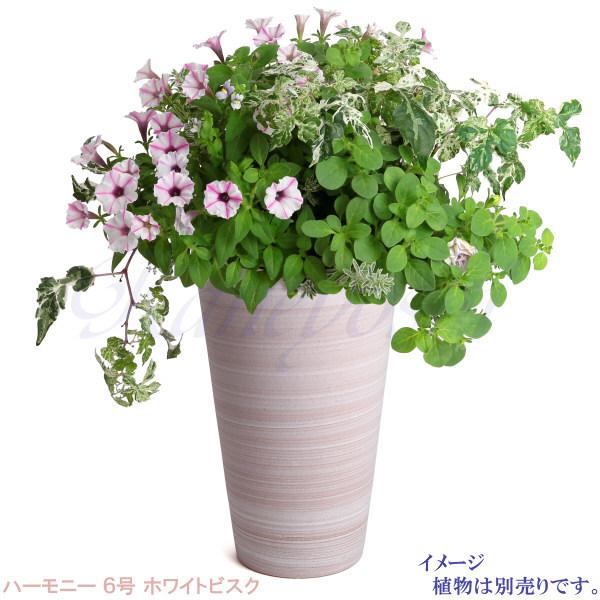 植木鉢 おしゃれ 安い 陶器 サイズ 19cm ハーモニー 6号 ホワイトビスク 室内 屋外 レンガ 色 |  | 11