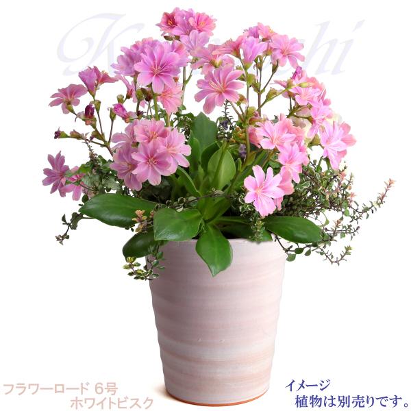 植木鉢 おしゃれ 安い 陶器 サイズ 19cm フラワーロード 6号 ホワイトビスク 室内 屋外 レンガ 色 |  | 09