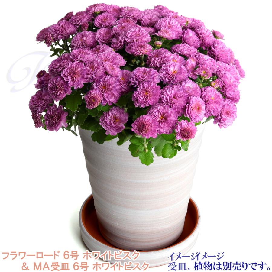 植木鉢 おしゃれ 安い 陶器 サイズ 19cm フラワーロード 6号 ホワイトビスク 室内 屋外 レンガ 色 |  | 11