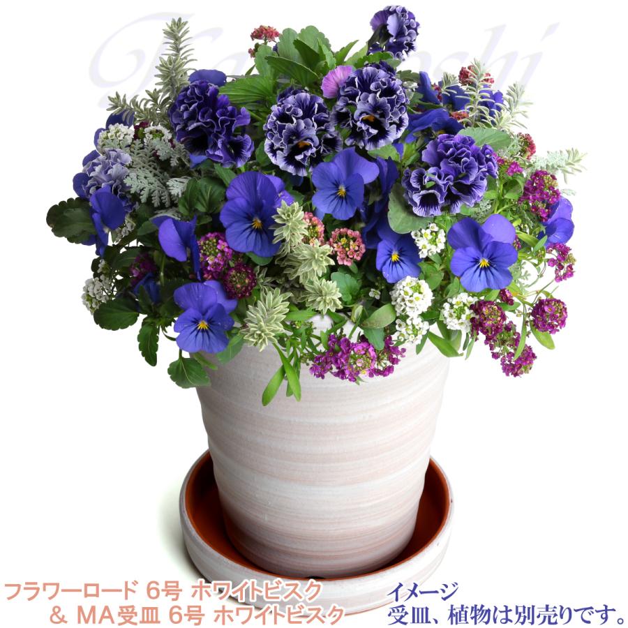 植木鉢 おしゃれ 安い 陶器 サイズ 19cm フラワーロード 6号 ホワイトビスク 室内 屋外 レンガ 色 |  | 12