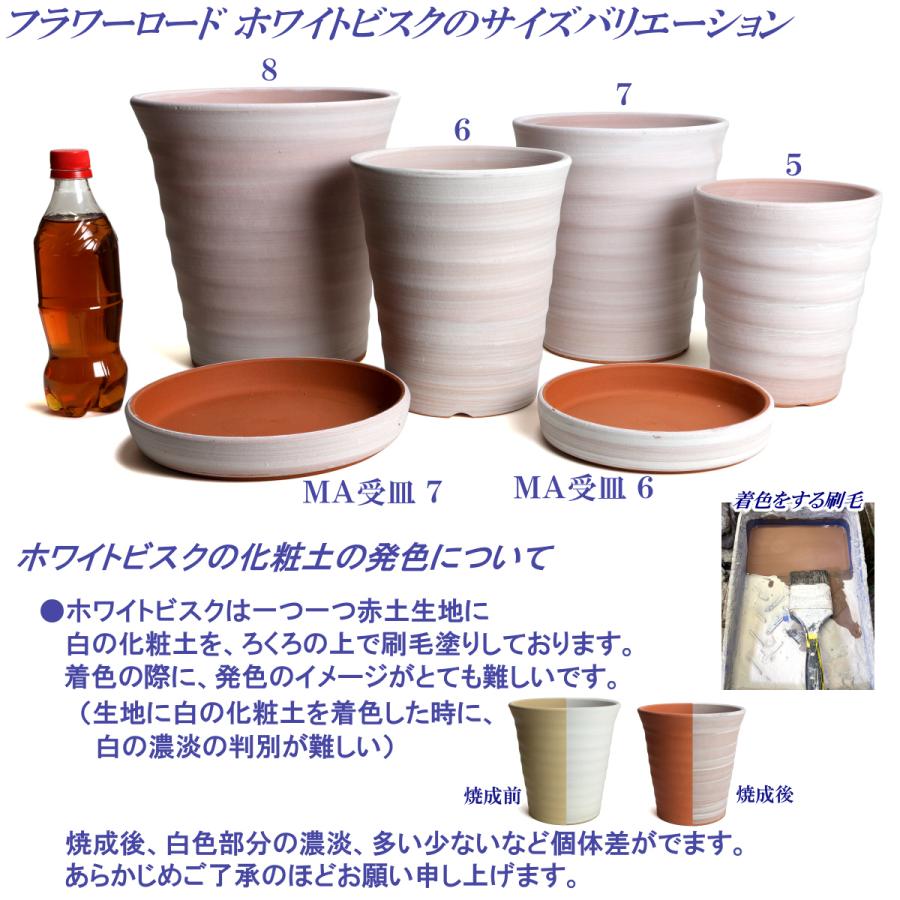 植木鉢 おしゃれ 安い 陶器 サイズ 19cm フラワーロード 6号 ホワイトビスク 室内 屋外 レンガ 色 |  | 20