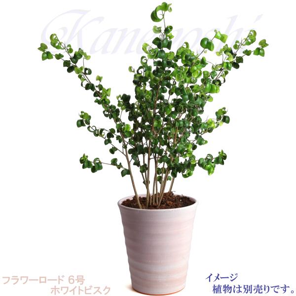 植木鉢 おしゃれ 安い 陶器 サイズ 19cm フラワーロード 6号 ホワイトビスク 室内 屋外 レンガ 色 |  | 08