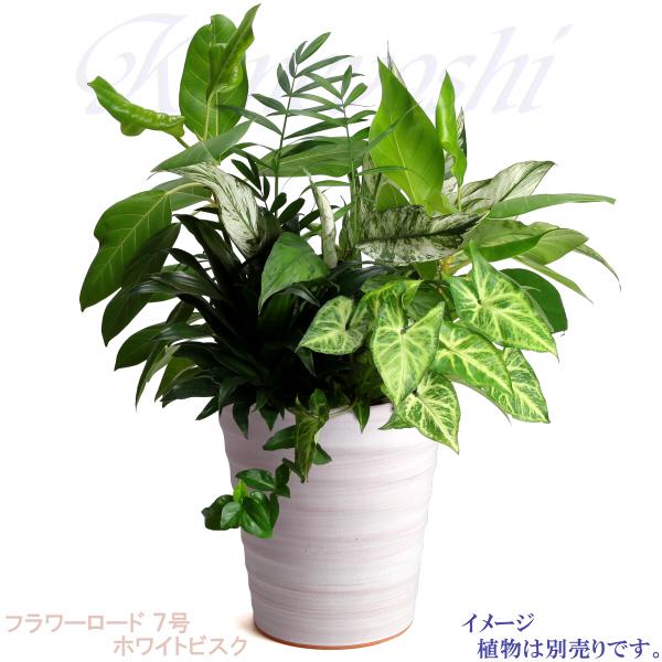 植木鉢 おしゃれ 安い 陶器 サイズ 21cm フラワーロード 7号 ホワイトビスク 室内 屋外 レンガ 色 |  | 09