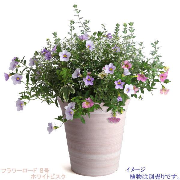 植木鉢 おしゃれ 安い 陶器 サイズ 24.5cm フラワーロード 8号 ホワイトビスク 室内 屋外 レンガ 色 |  | 10