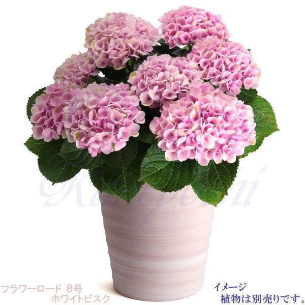 植木鉢 おしゃれ 安い 陶器 サイズ 24.5cm フラワーロード 8号 ホワイトビスク 室内 屋外 レンガ 色 |  | 07