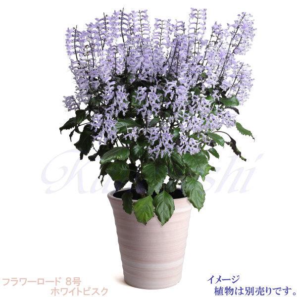 植木鉢 おしゃれ 安い 陶器 サイズ 24.5cm フラワーロード 8号 ホワイトビスク 室内 屋外 レンガ 色 |  | 08