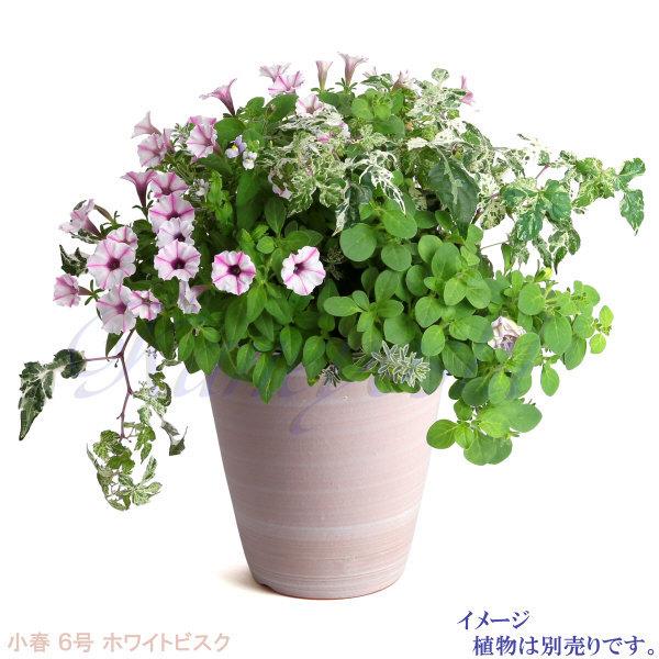 植木鉢 おしゃれ 安い 陶器 サイズ 19cm 小春 6号 ホワイトビスク 室内 屋外 レンガ 色 |  | 11