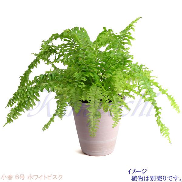植木鉢 おしゃれ 安い 陶器 サイズ 19cm 小春 6号 ホワイトビスク 室内 屋外 レンガ 色 |  | 12