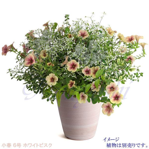 植木鉢 おしゃれ 安い 陶器 サイズ 19cm 小春 6号 ホワイトビスク 室内 屋外 レンガ 色 |  | 09