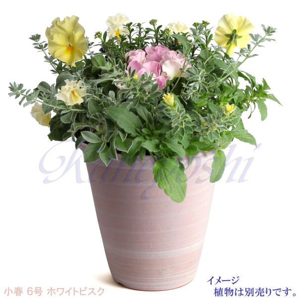 植木鉢 おしゃれ 安い 陶器 サイズ 19cm 小春 6号 ホワイトビスク 室内 屋外 レンガ 色 |  | 10