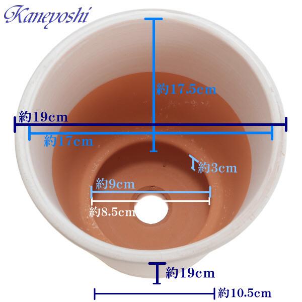 植木鉢 おしゃれ 安い 陶器 サイズ 19cm 小春 6号 ホワイトビスク 室内 屋外 レンガ 色 |  | 03