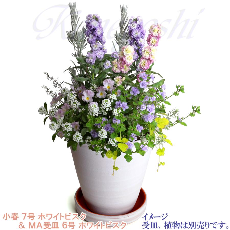 植木鉢 おしゃれ 安い 陶器 サイズ 22cm 小春 7号 ホワイトビスク 室内 屋外 レンガ 色 |  | 11