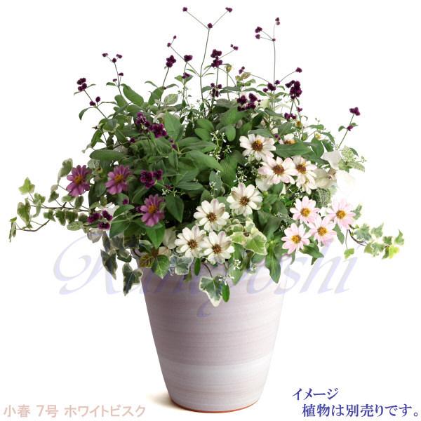 植木鉢 おしゃれ 安い 陶器 サイズ 22cm 小春 7号 ホワイトビスク 室内 屋外 レンガ 色 |  | 10