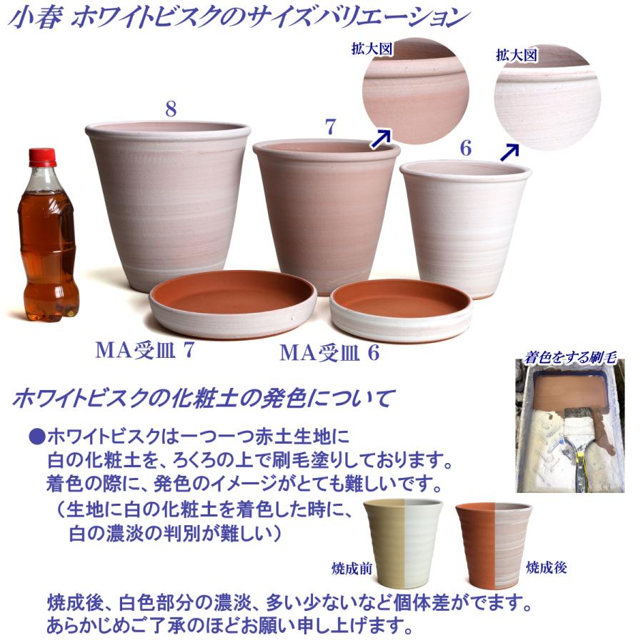 植木鉢 おしゃれ 安い 陶器 サイズ 22cm 小春 7号 ホワイトビスク 室内 屋外 レンガ 色 |  | 20