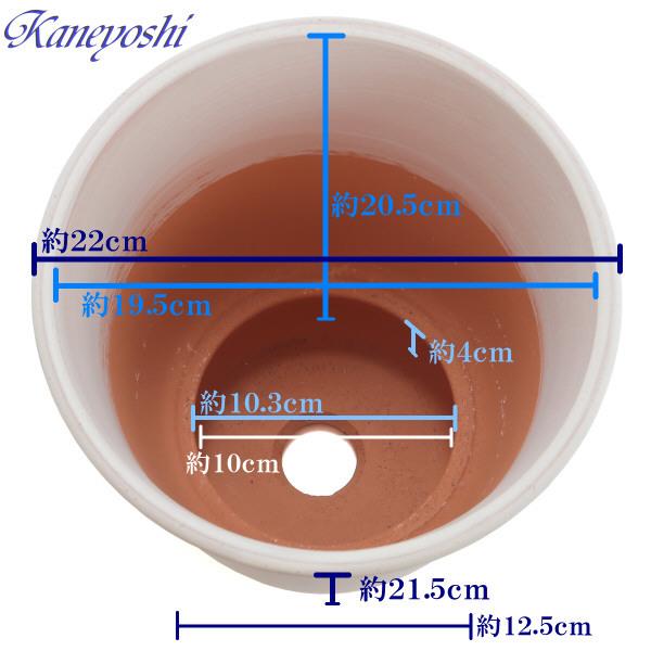 植木鉢 おしゃれ 安い 陶器 サイズ 22cm 小春 7号 ホワイトビスク 室内 屋外 レンガ 色 |  | 03