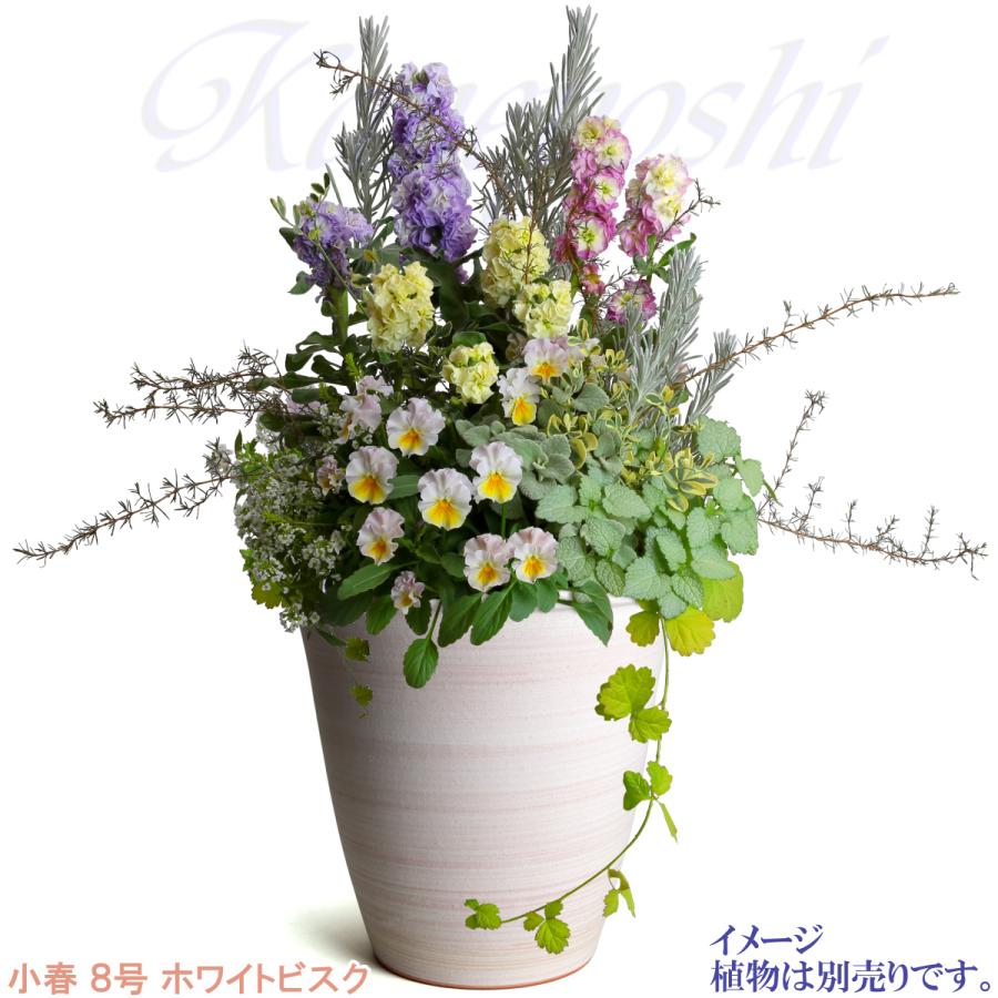 植木鉢 おしゃれ 安い 陶器 サイズ 24cm 小春 8号 ホワイトビスク 室内 屋外 レンガ 色 |  | 10