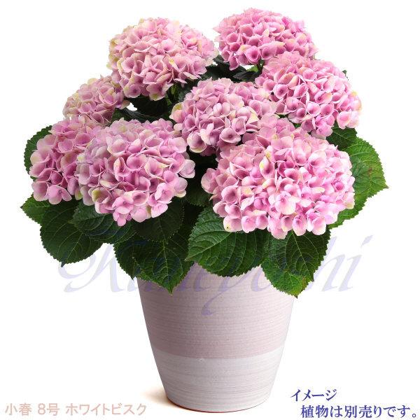 植木鉢 おしゃれ 安い 陶器 サイズ 24cm 小春 8号 ホワイトビスク 室内 屋外 レンガ 色 |  | 12