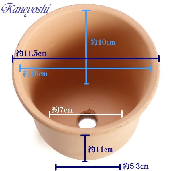 植木鉢 おしゃれ 安い 陶器 サイズ 11.5cm 尻丸えびね 3.5号 素焼 室内 屋外 レンガ 色 |  | 02