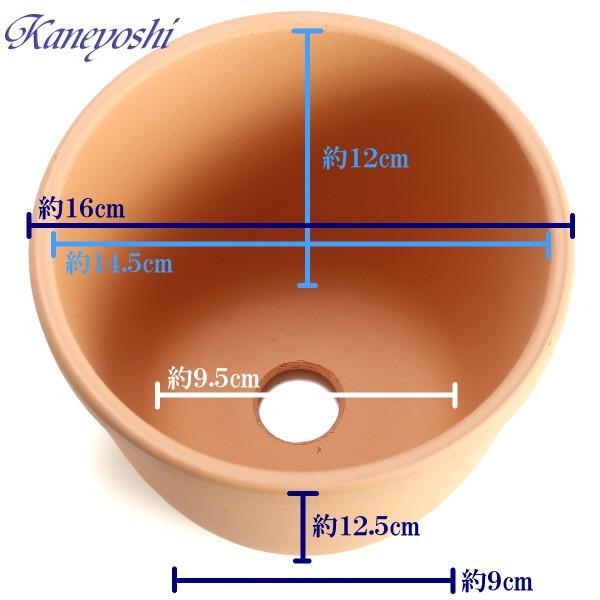 植木鉢 おしゃれ 安い 陶器 サイズ 16cm えびね鉢 5号 素焼 室内 屋外 レンガ 色 |  | 02