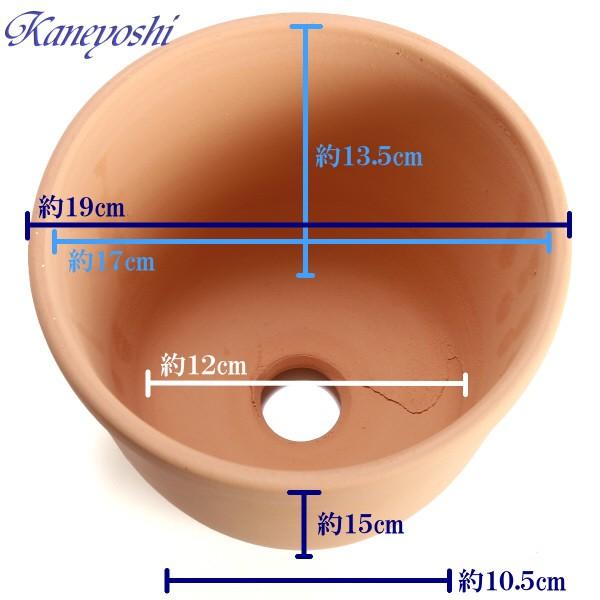 植木鉢 おしゃれ 安い 陶器 サイズ 19cm えびね鉢 6号 素焼 室内 屋外 レンガ 色 |  | 02