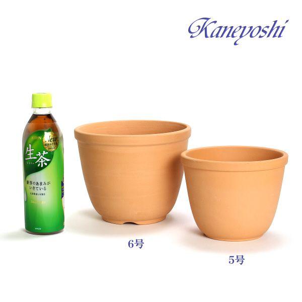 植木鉢 おしゃれ 安い 陶器 サイズ 19cm えびね鉢 6号 素焼 室内 屋外 レンガ 色 |  | 04