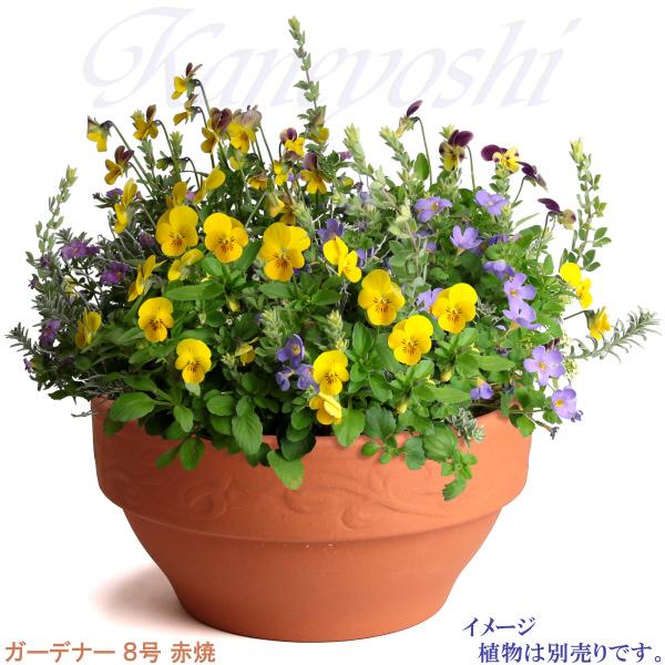 植木鉢 おしゃれ 安い 陶器 サイズ 25cm ガーデナー 8号 赤焼 室内 屋外 レンガ 色 |  | 05
