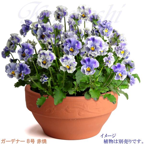 植木鉢 おしゃれ 安い 陶器 サイズ 25cm ガーデナー 8号 赤焼 室内 屋外 レンガ 色 |  | 06