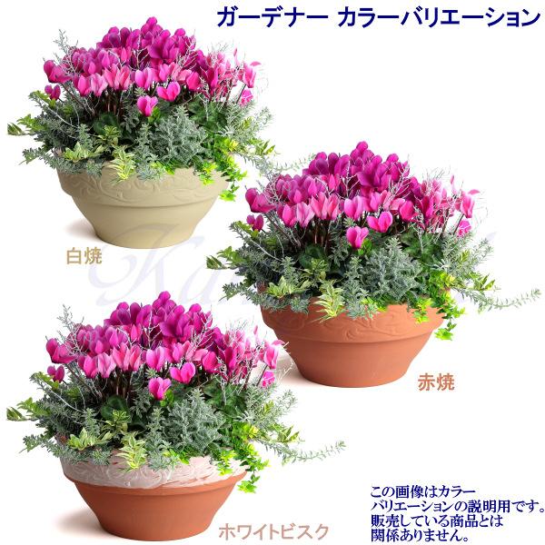 植木鉢 おしゃれ 安い 陶器 サイズ 25cm ガーデナー 8号 ホワイトビスク 室内 屋外 レンガ 色 |  | 08