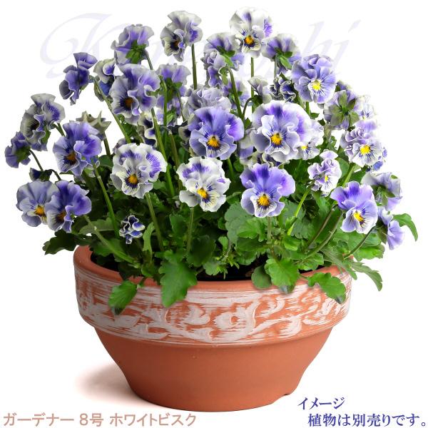 植木鉢 おしゃれ 安い 陶器 サイズ 25cm ガーデナー 8号 ホワイトビスク 室内 屋外 レンガ 色 |  | 05