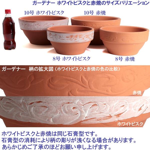 植木鉢 おしゃれ 安い 陶器 サイズ 25cm ガーデナー 8号 ホワイトビスク 室内 屋外 レンガ 色 |  | 14