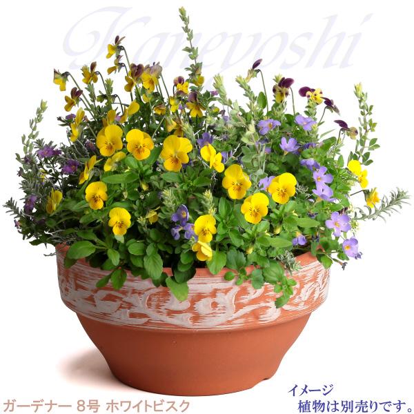 植木鉢 おしゃれ 安い 陶器 サイズ 25cm ガーデナー 8号 ホワイトビスク 室内 屋外 レンガ 色 |  | 07