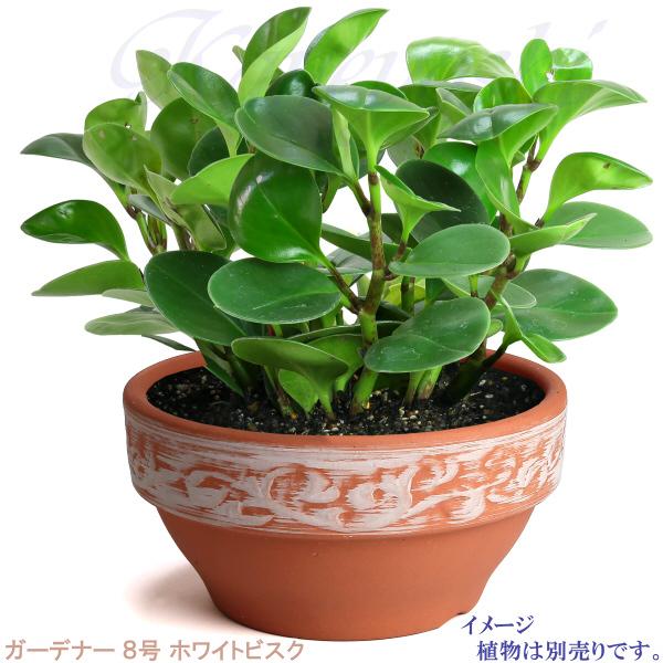 植木鉢 おしゃれ 安い 陶器 サイズ 25cm ガーデナー 8号 ホワイトビスク 室内 屋外 レンガ 色 |  | 06