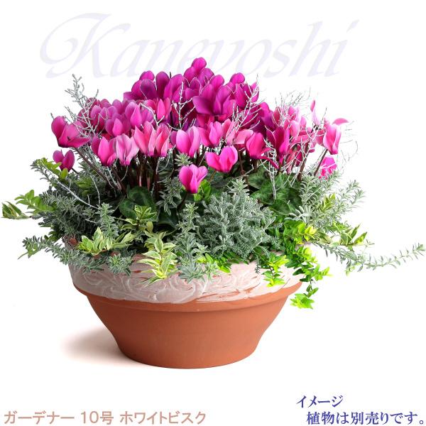 植木鉢 おしゃれ 安い 陶器 サイズ 32cm ガーデナー 10号 ホワイトビスク 室内 屋外 レンガ 色 |  | 05