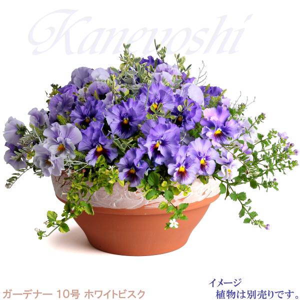 植木鉢 おしゃれ 安い 陶器 サイズ 32cm ガーデナー 10号 ホワイトビスク 室内 屋外 レンガ 色 |  | 06