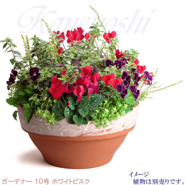 植木鉢 おしゃれ 安い 陶器 サイズ 32cm ガーデナー 10号 ホワイトビスク 室内 屋外 レンガ 色 |  | 07