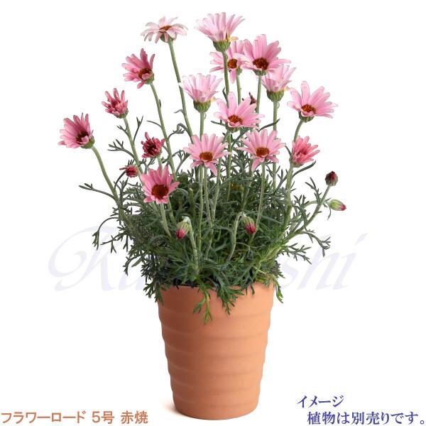 植木鉢 おしゃれ 安い 陶器 サイズ 16cm フラワーロード 5号 赤焼 室内 屋外 レンガ 色 |  | 08
