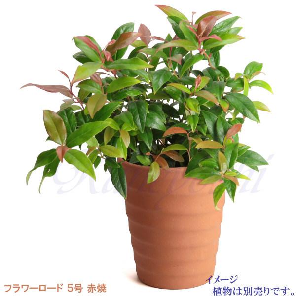 植木鉢 おしゃれ 安い 陶器 サイズ 16cm フラワーロード 5号 赤焼 室内 屋外 レンガ 色 |  | 09