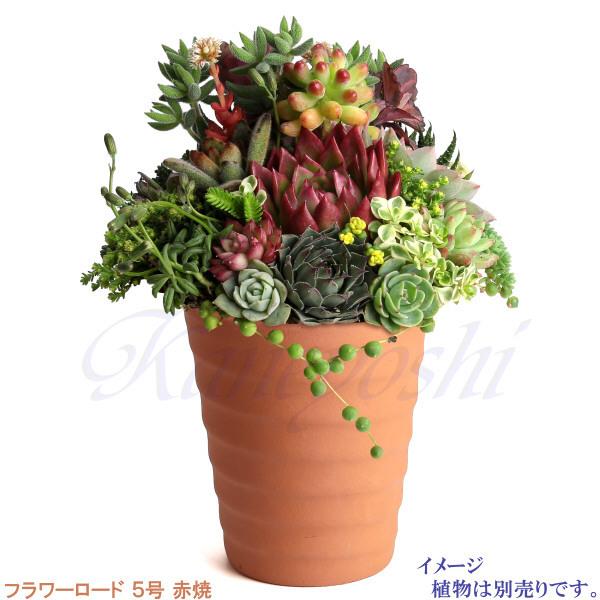 植木鉢 おしゃれ 安い 陶器 サイズ 16cm フラワーロード 5号 赤焼 室内 屋外 レンガ 色 |  | 11