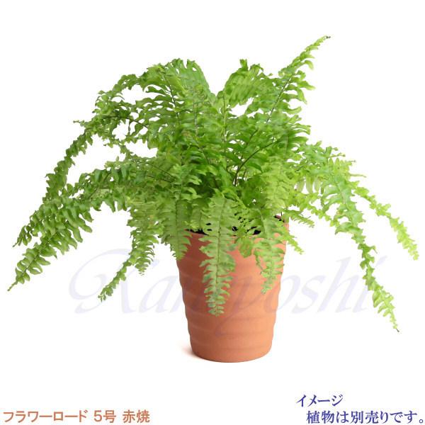 植木鉢 おしゃれ 安い 陶器 サイズ 16cm フラワーロード 5号 赤焼 室内 屋外 レンガ 色 |  | 12