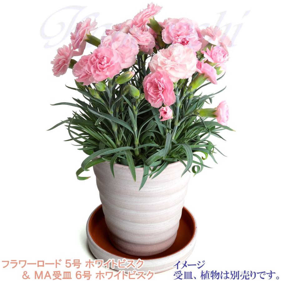 植木鉢 おしゃれ 安い 陶器 サイズ 16cm フラワーロード 5号 ホワイトビスク 室内 屋外 レンガ 色 |  | 10